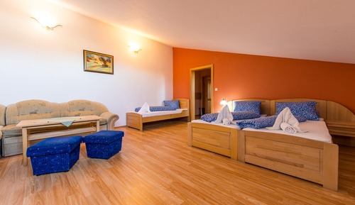 Family Room (Comfort)