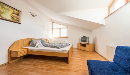 Family Room (Standard)