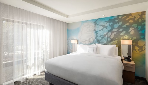 Room, 1 King Bed with Sofa bed (Mobility/Hearing Access, Roll-In Shwr)