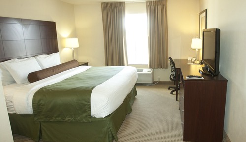 Room, 1 King Bed, Non Smoking (Guest)