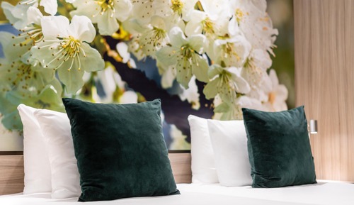 Business Room (Skybox)