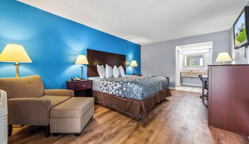 Room, 1 King Bed, Non Smoking