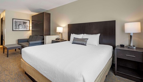 Standard Room, 1 King Bed, Accessible, Refrigerator & Microwave