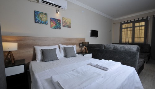 Standard Apartment