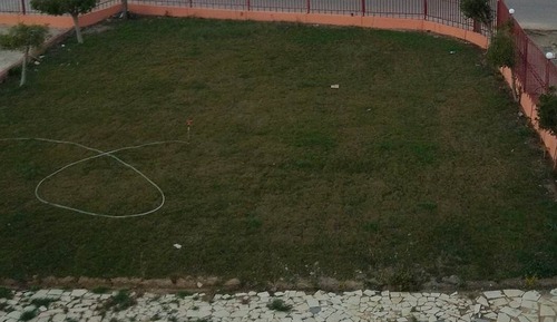 Executive Single Room, Garden View, Garden Area