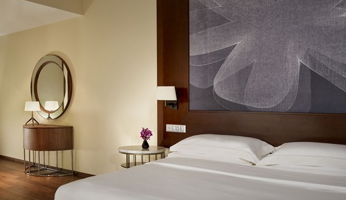 Room, 1 King Bed