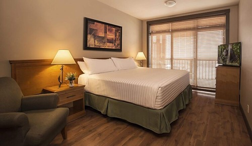 1-Bedroom Suite