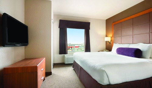Room, 1 King Bed