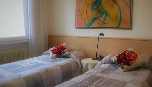 Traditional Double or Twin Room, Mountain View