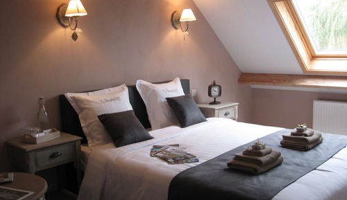 Classic Double Room (De Schuur)