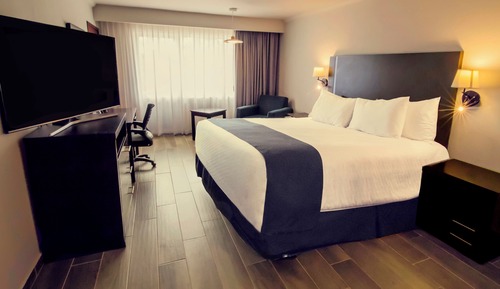 Superior Room, 1 King Bed, Non Smoking