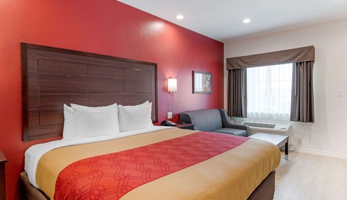 Standard Room, 1 King Bed, Non Smoking