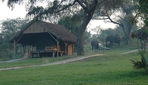 Tent