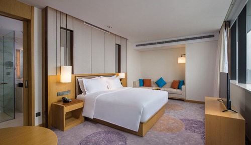 Premium Room, Business Lounge Access (Lounge Access)