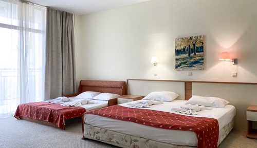 Family Room, 1 Bedroom, Balcony, Park View