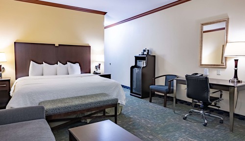 Room, 1 King Bed, Non Smoking