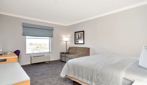 Room, 1 King Bed with Sofa bed, Refrigerator & Microwave