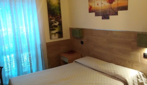 Basic Double or Twin Room