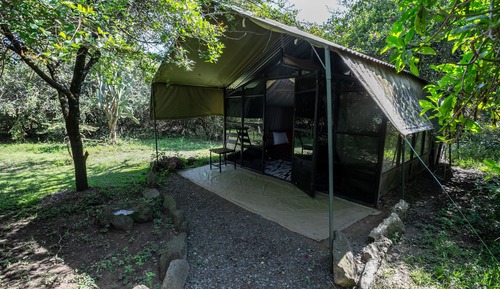 Tent, 1 Bedroom, Accessible