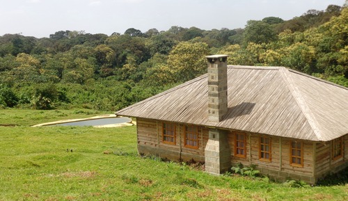 Standard Bungalow, 2 Double Beds