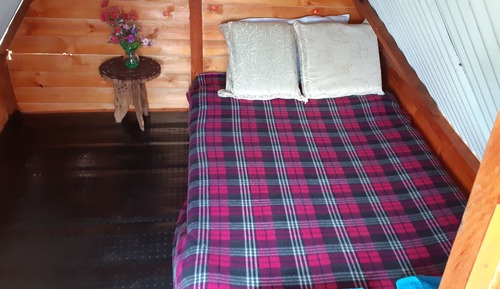 Basic Tent, Mixed Dorm