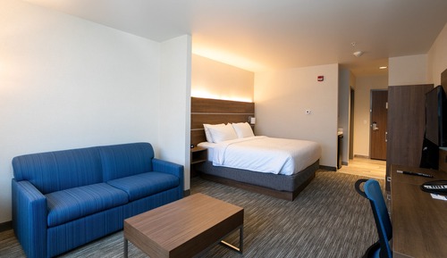 Suite, 1 King Bed with Sofa bed