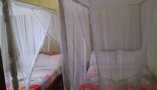 Basic Double or Twin Room