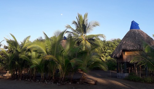 Traditional Cabin, 1 Double Bed, Ocean View, Beachside
