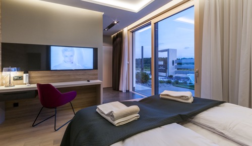 Comfort Room, 1 King Bed, Valley View (4)