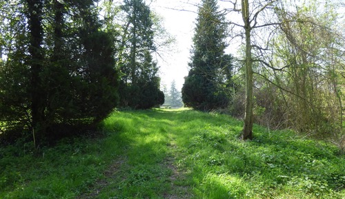 Standard Double Room (TR)