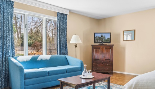 Room, 1 King Bed with Sofa bed (Germond House)