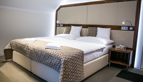 Standard Double or Twin Room, Annex Building (Villa Larisch)