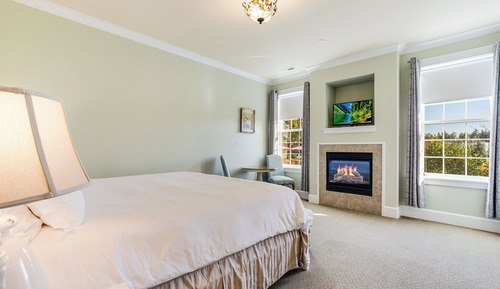 Romantic Room, 1 King Bed, Fireplace, Garden View