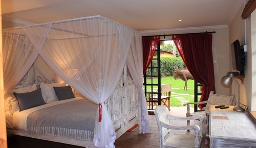 Luxury Double Room
