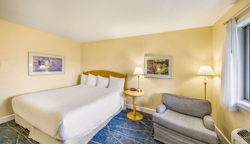 Standard Room, 1 King Bed, Accessible, Lake View