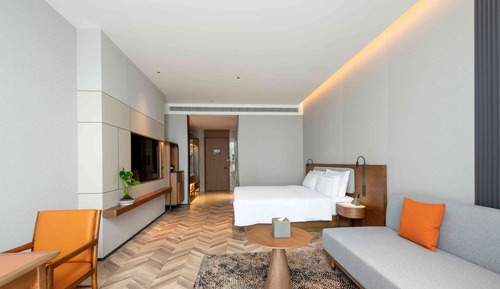 Single Room, 1 King Bed