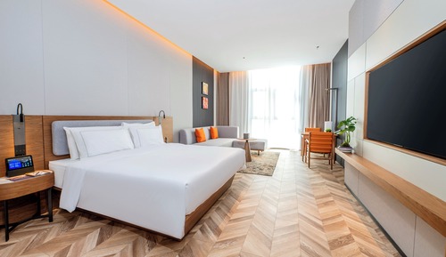 Single Room, 1 King Bed