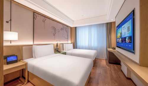 Basic Twin Room