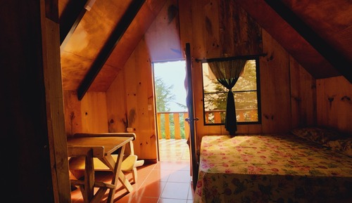 Traditional Cabin, Patio, Garden View