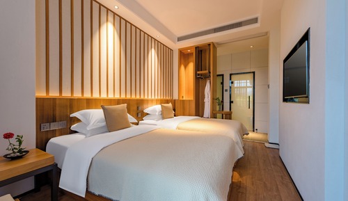 Standard Double or Twin Room, Mountain View