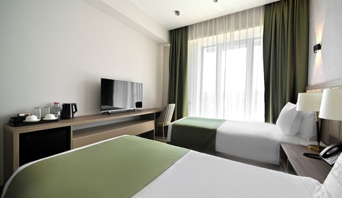 Standard Double or Twin Room, Balcony, Mountain View