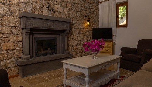 Comfort Suite, Garden View