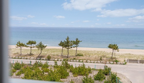 Basic Room, 2 Bedrooms (301 (Ocean View / DOGS ONLY))