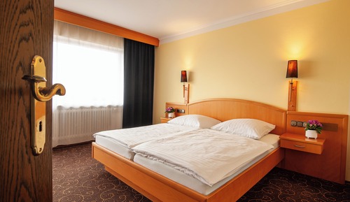 Standard Double Room, 1 King Bed, Smoking, Mountain View