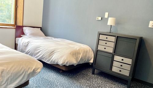 Room, Multiple Beds