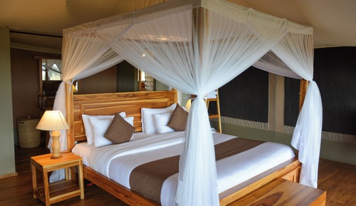 Deluxe Double or Twin Room, Park View