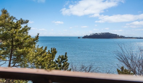 Basic Room, 1 Bedroom (Room 204(Ocean View /BBQ /Terras))