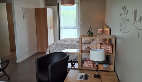 Comfort Studio, Garden View