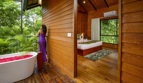 Romantic Tree House