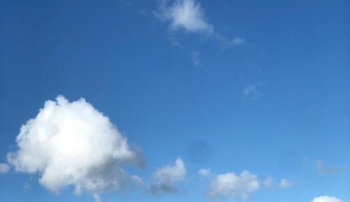 Standard Twin Room, Garden View